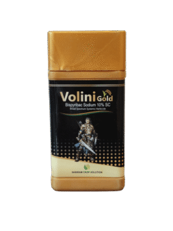 Volini Gold