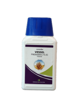 Vessel