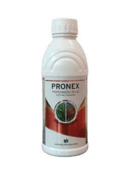 Pronex