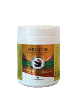 Hector
