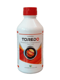 Toredo