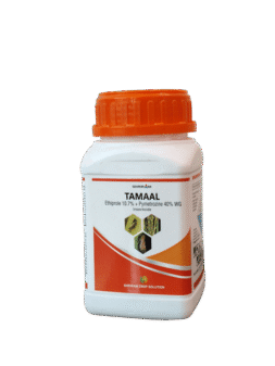 Tamaal